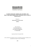 Patient-specific modelling of spine and fracture risk prediction with routine clinical image data