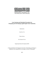 Lean sensing and embodied perception for designing and developing lightweight aerial autonomy
