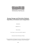Energy storage and electricity markets: operation, investment and competition