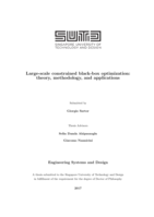 Large-scale constrained black-box optimization: theory, methodology, and applications