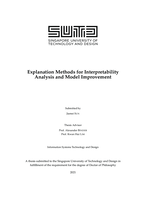 Explanation methods for interpretability analysis and model improvement