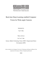Real-time deep learning-enabled computer vision for wide-angle cameras