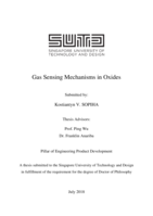 Gas Sensing Mechanisms in Oxides