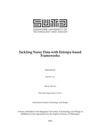 Tackling noisy data with entropy-based frameworks