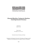 Directed blackbox testing for machine learning beyond accuracy